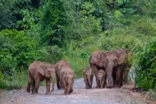 Wildlife overflow enriches biodiversity beyond park boundaries 2