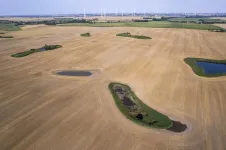 Wind turbines impair the access of bats to water bodies in agricultural landscapes