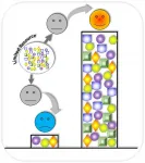 Winner-takes-all synthetic gene circuit process opens new pathways to disease treatment