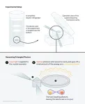 Wiring up quantum circuits with light 3