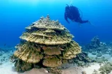 With curtailed carbon emissions, corals can survive climate change 3