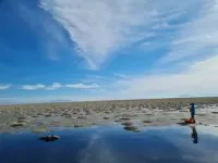 With discovery of roundworms, Great Salt Lake’s imperiled ecosystem gets more interesting 2