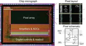 With programmable pixels, novel sensor improves imaging of neural activity