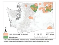 Wolves’ return has had only small impact on deer populations in NE Washington, study shows