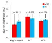 Women with depression have 20% lower taurine concentration in the hippocampus 2