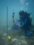 Woods Hole Oceanographic Institution researchers use the sounds of healthy coral reefs  to encourage growth of a new species of coral larvae