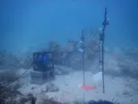 Woods Hole Oceanographic Institution researchers use the sounds of healthy coral reefs  to encourage growth of a new species of coral larvae 2