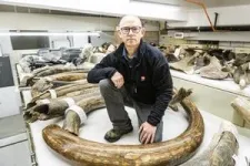 Woolly mammoth movements tied to earliest Alaska hunting camps 2