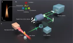 World’s fastest laser camera films combustion in real time