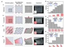 World’s first metamaterial developed to enable real-time shape and property control 3