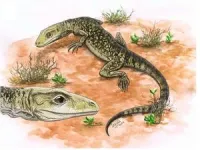 World’s oldest lizard wins fossil fight 2