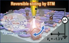 World’s smallest molecular machine: reversible sliding motion in ammonium-linked ferrocene