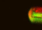 Worlds smallest reaction chamber