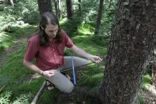 WVU biologists uncover forests unexpected role in climate change