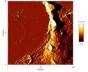 X-ray irradiation at a certain dose alters the neuronal cytoskeleton and cytomechanics