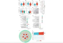 XRCC1: A potential prognostic and immunological biomarker in low-grade gliomas