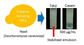 Yeast as food emulsifier? Easily released protein as strong as casein