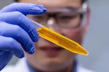 Yellow dye solution makes tissue transparent on living animals