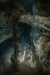 Yucatán’s underwater caves host diverse microbial communities