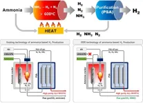 Zero emissions of carbon dioxide! Successful production of ammonia-based clean hydrogen