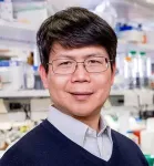 Zhijian ‘James’ Chen and Glen Barber awarded Horwitz prize for discovering the cGAS-STING pathway 2