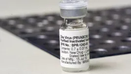 Zika vaccine safe, effective when administered during pregnancy