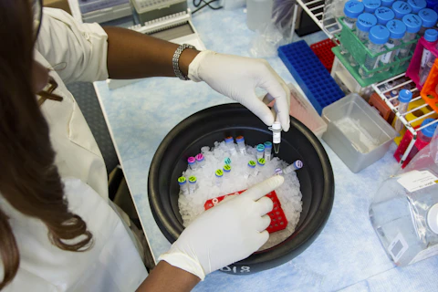 Gloved hands preparing laboratory samples
