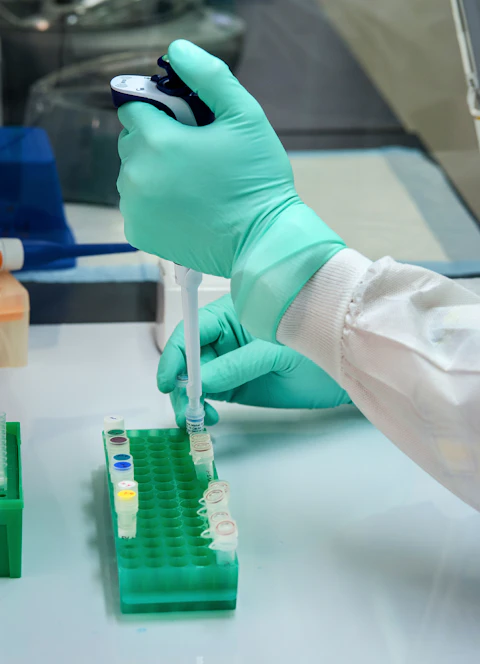 Gloved hands using a pipette in a laboratory